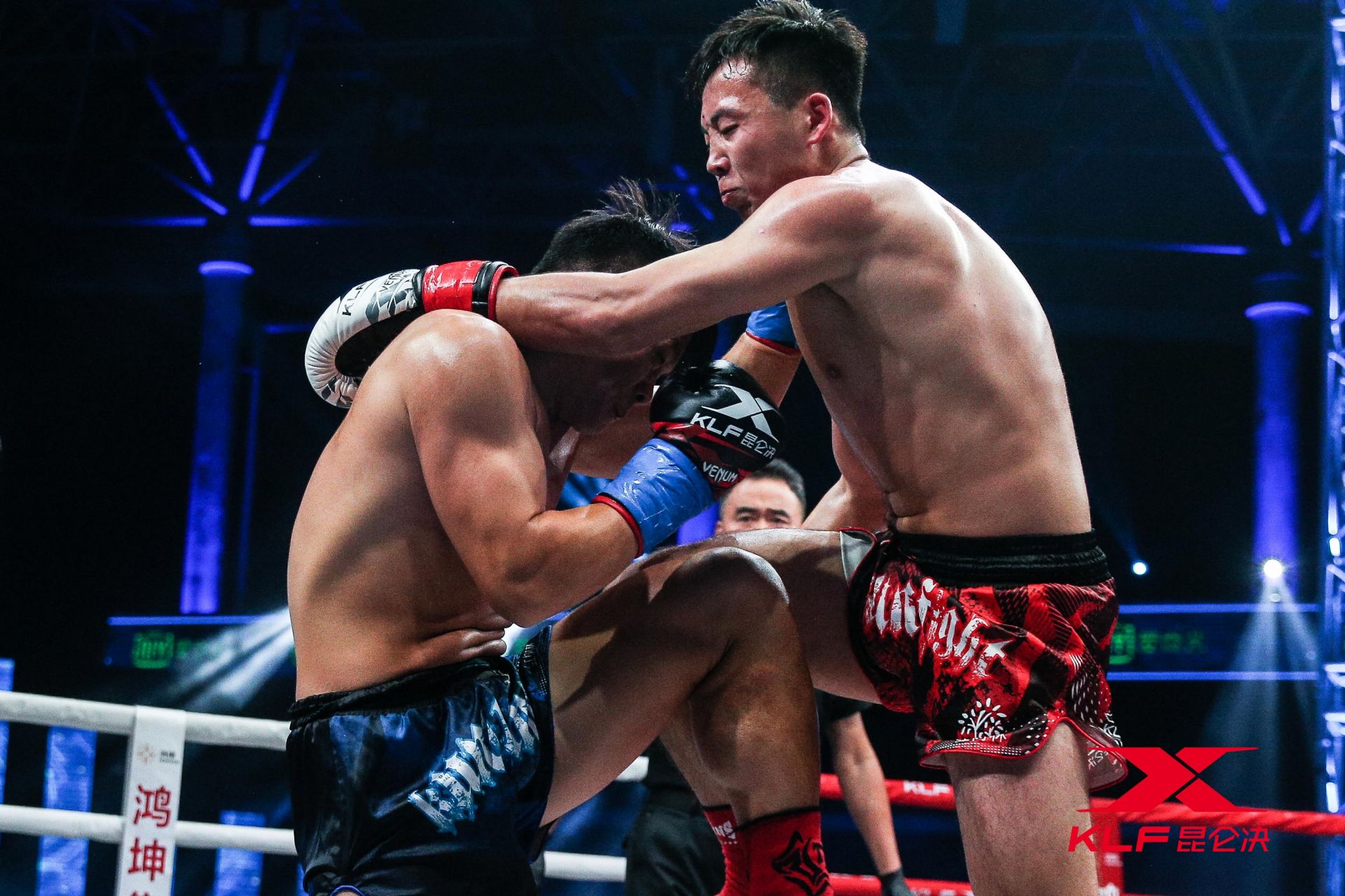 关于猛虎队全队进攻火力全开，率队轻松击败对手的信息