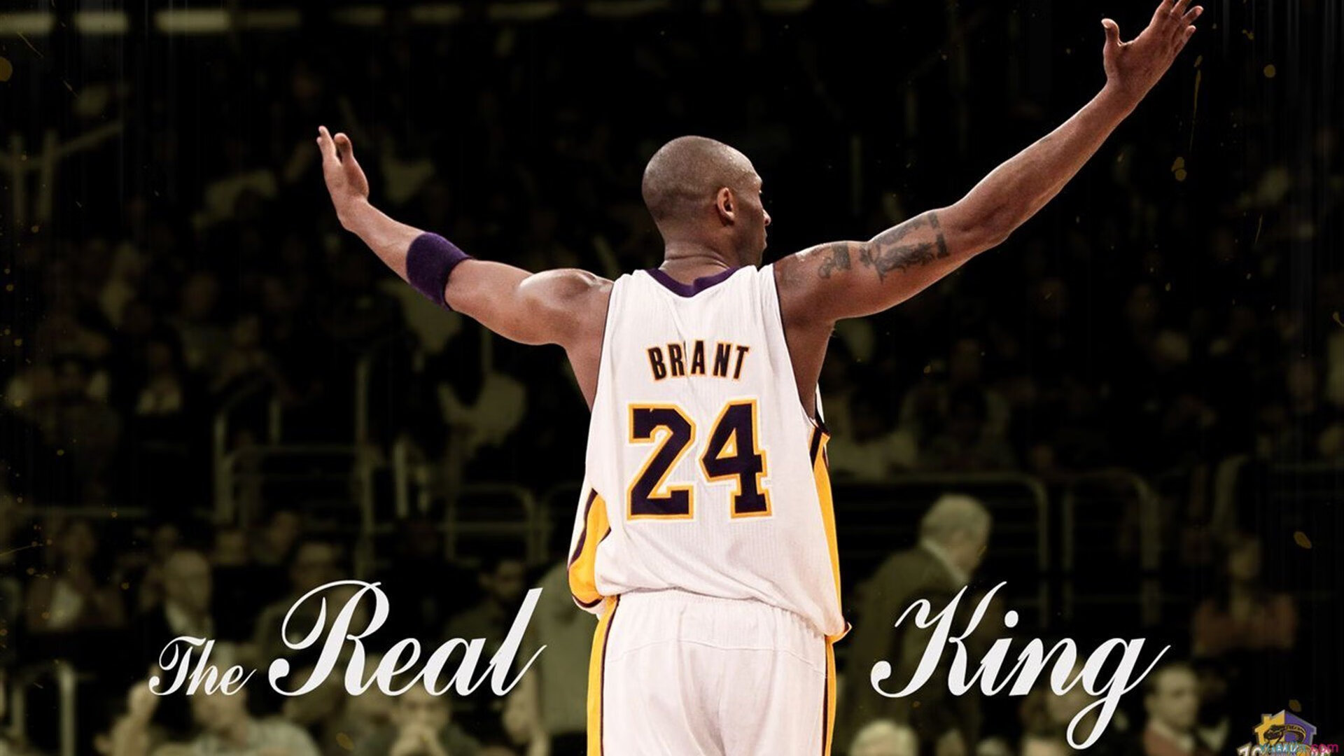 综合格斗最新战报！韩国队迎战澳大利亚队，球星闪耀，全场焦点无人能挡